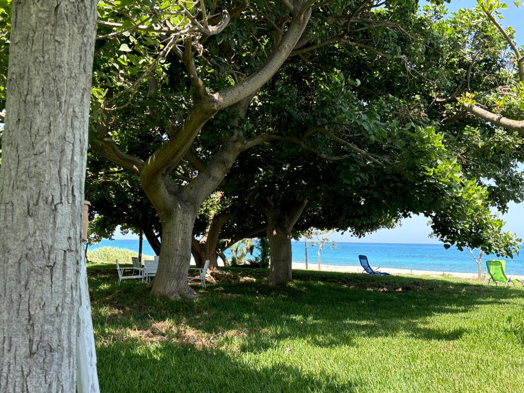 Perla Del Borgo Appartamenti Santa Caterina dello Ionio Esterno foto